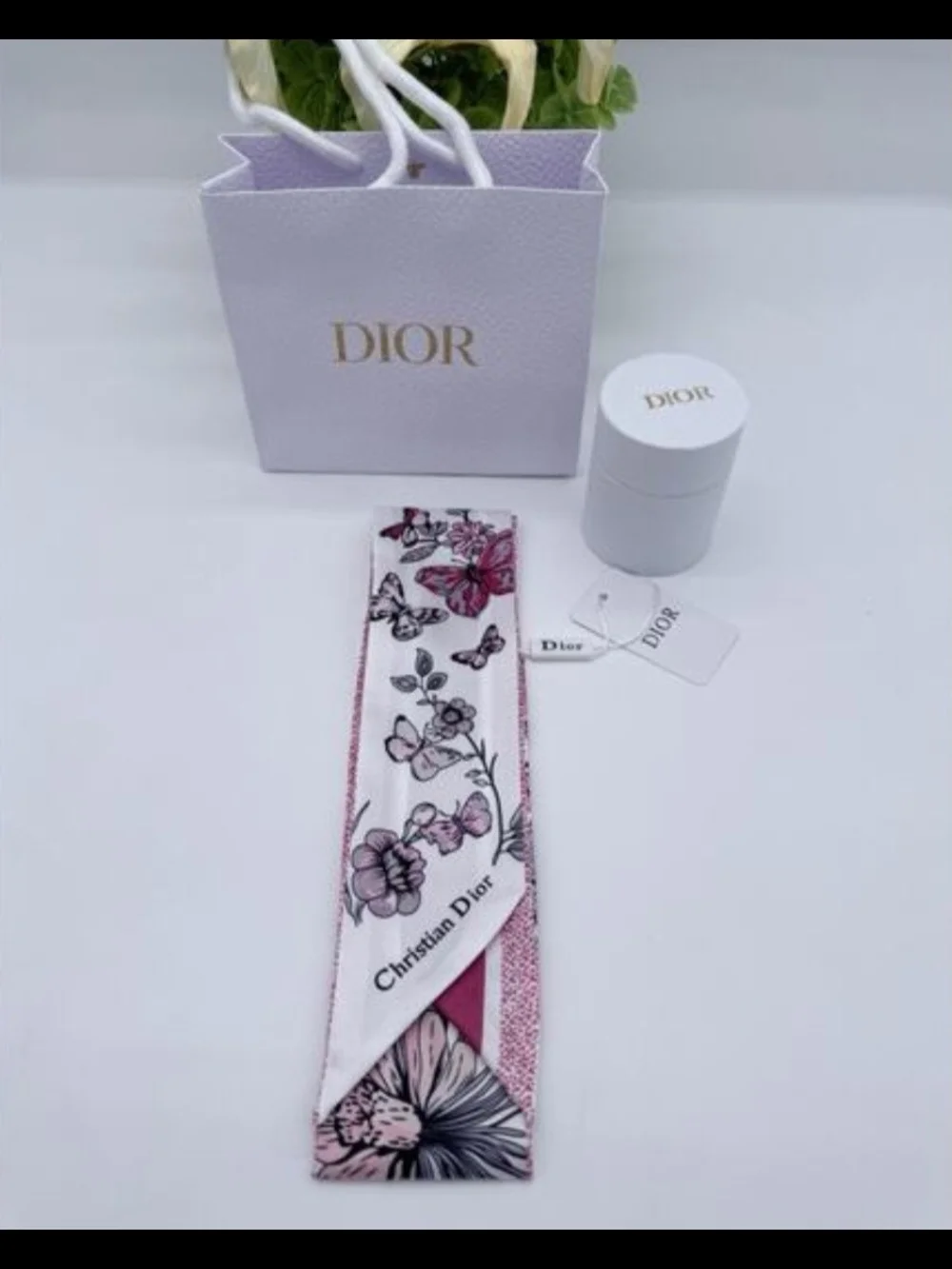 Dior christian butterfly